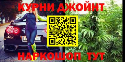 гидра Отрадный