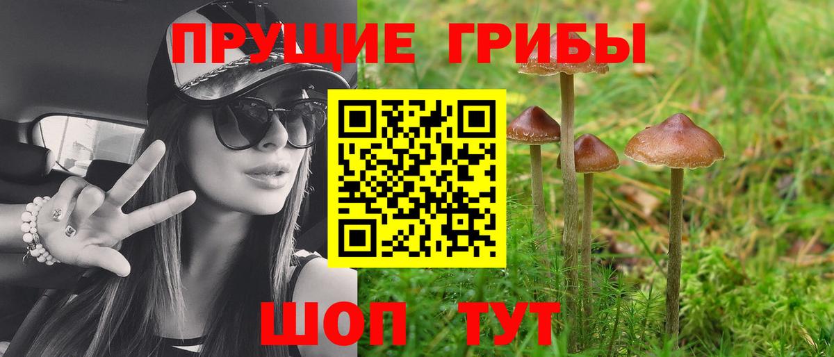 Оренбург  Псилоцибиновые грибы Psilocybine cubensis  Вход с VPN 